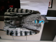 Шубка из шиншиллы-рекса