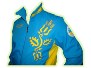 Теплые спортивные костюмы и куртки BOSCO SPORT