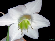  детскую,  женскую и мужскую одежду и обувь б/у